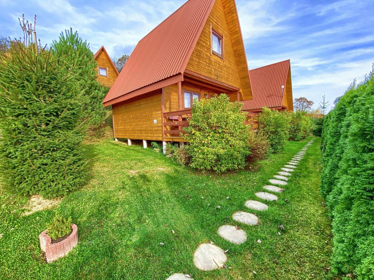 Domki Nad Solina Czarny Kot 509-797-777 Exterior photo