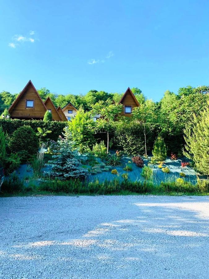 Domki Nad Solina Czarny Kot 509-797-777 Exterior photo