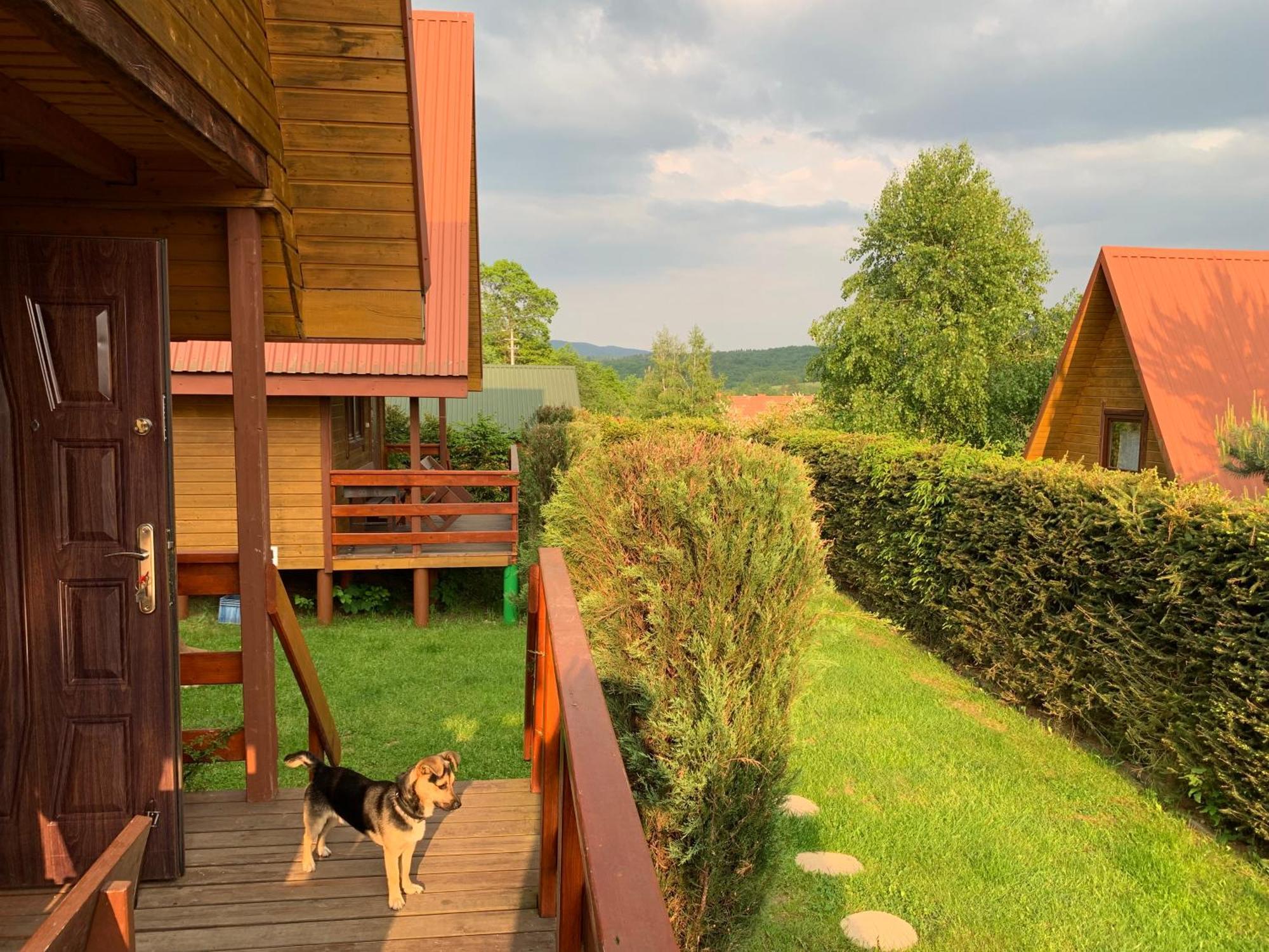 Domki Nad Solina Czarny Kot 509-797-777 Exterior photo